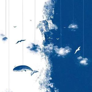 七点半我下个黄色一级带
